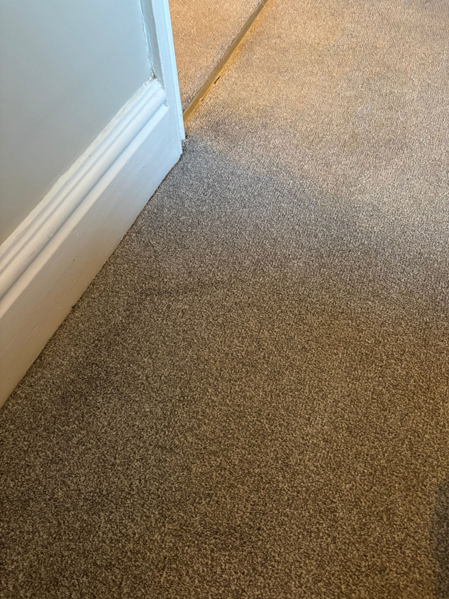 After: clean carpet, staining removed