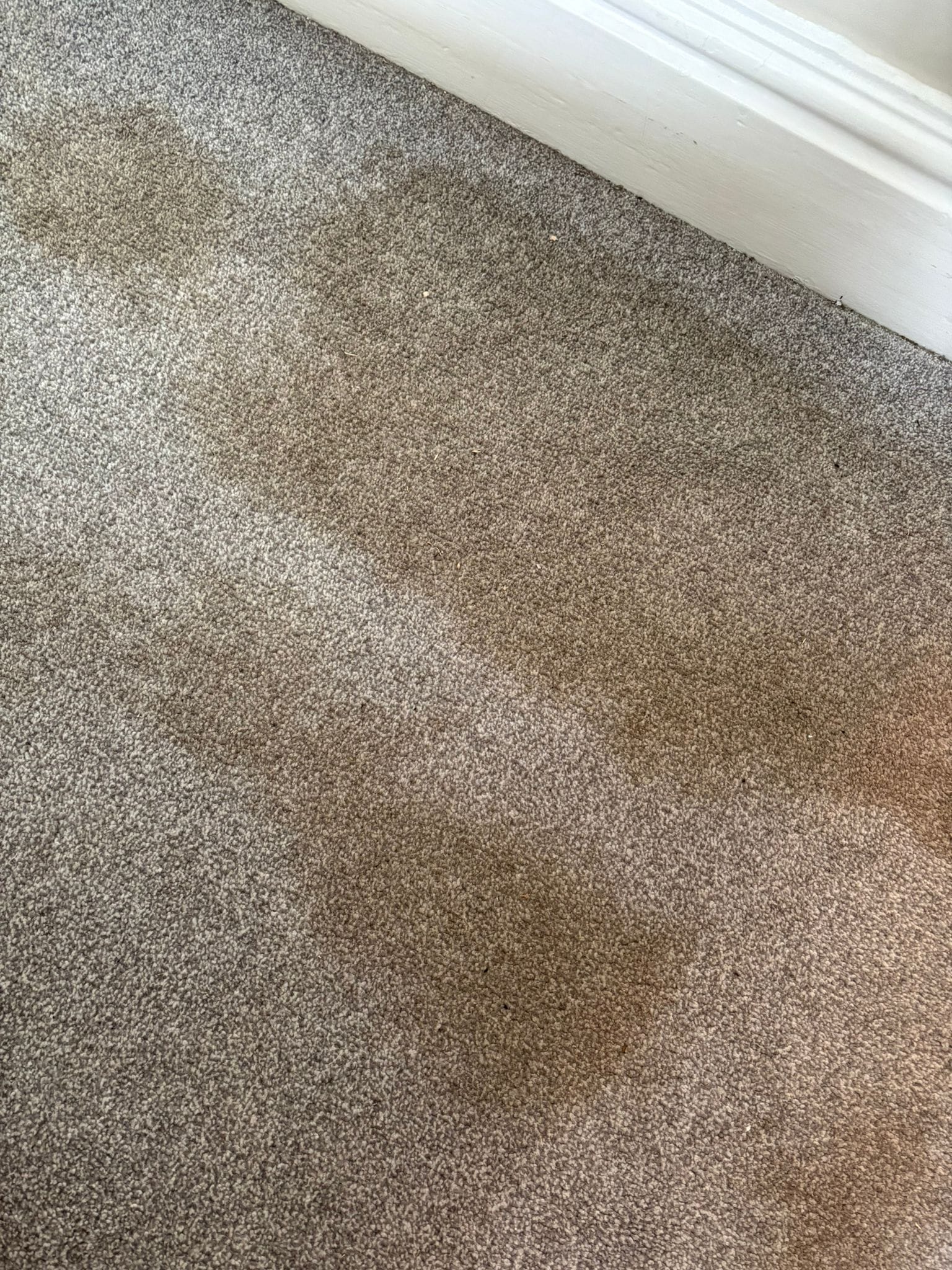 Before: carpet with visible brown staining
