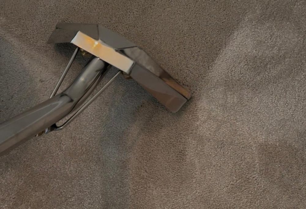 Professional carpet cleaning in progress