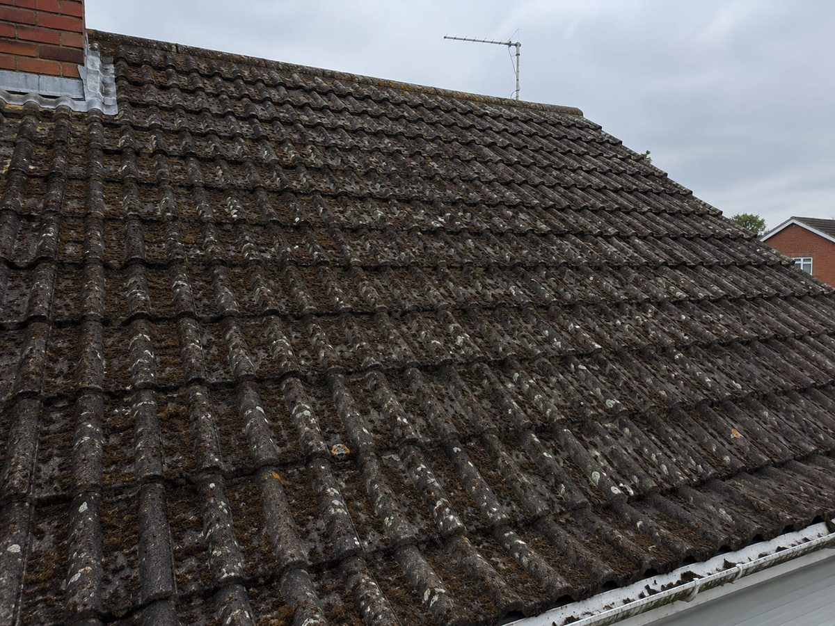 Before: roof tiles covered in moss
