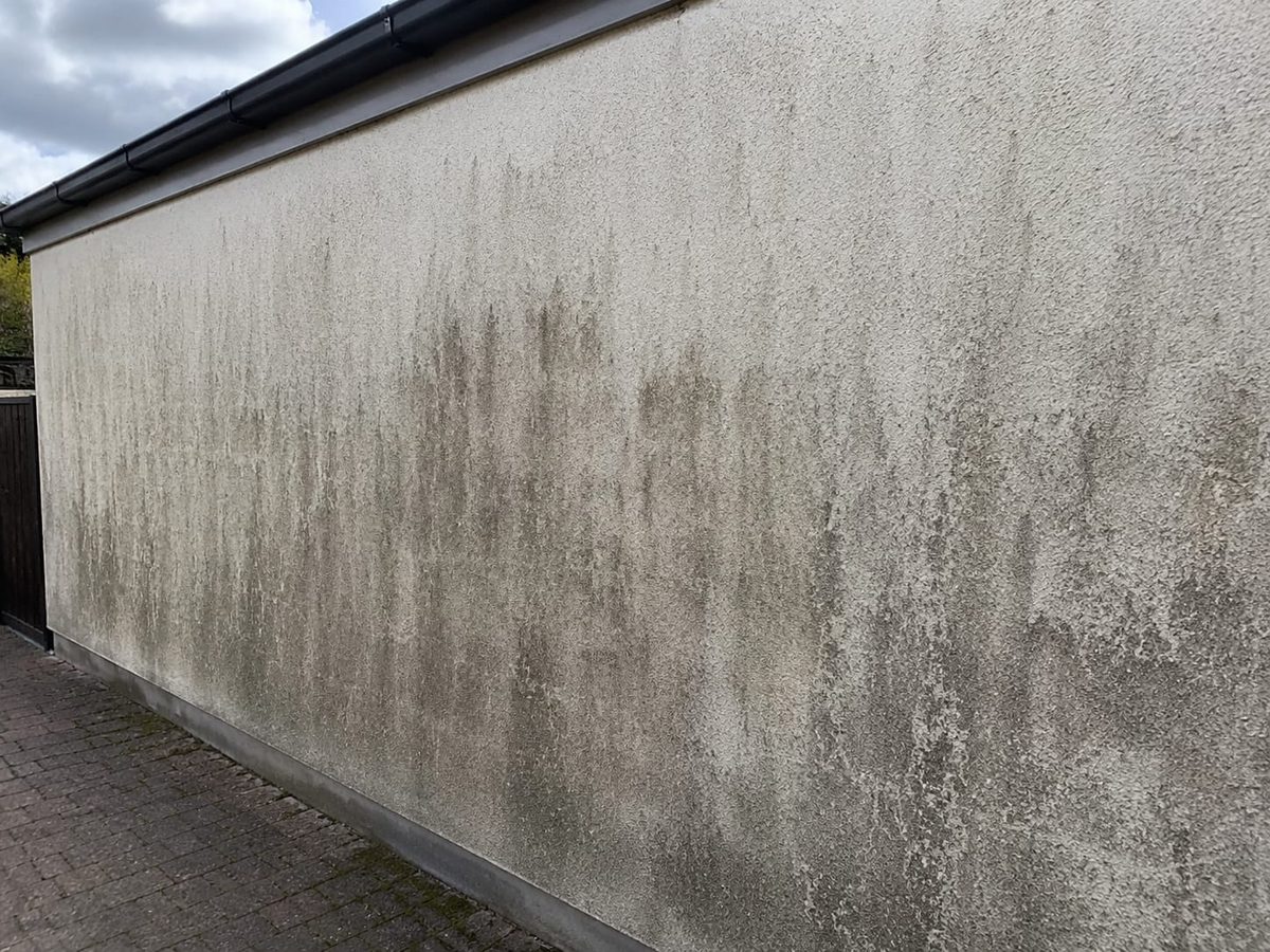 Before: render wall stained with black algae